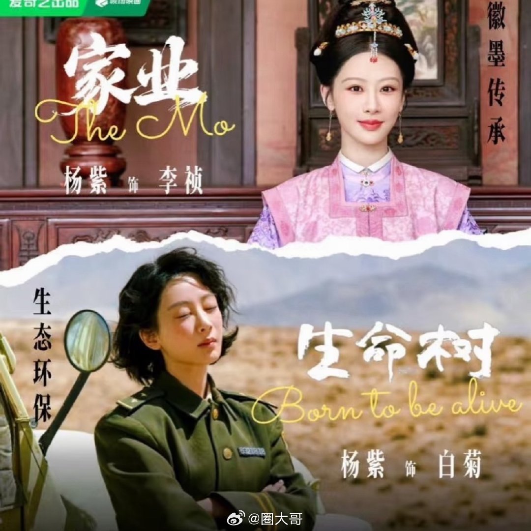 杨紫生命树家业上半年招商TOP5杨紫家业生命树招商能力 这才是白玉兰视后的招商能