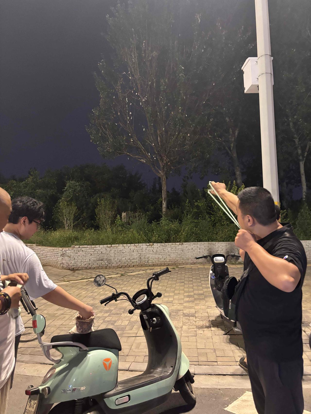夜巷弹弓声

天擦黑时，巷尾的老槐树下就热闹起来。李哥拎着个帆布包，里面装着磨得