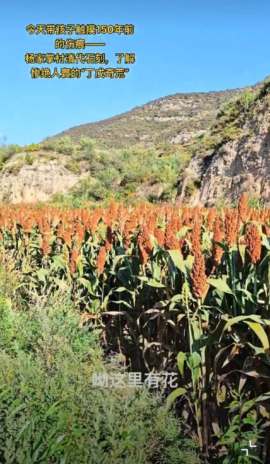 一位年轻妈妈带着孩子通过村中石刻了解中国历史事件——丁戊奇荒，又称晋豫奇荒、晋豫