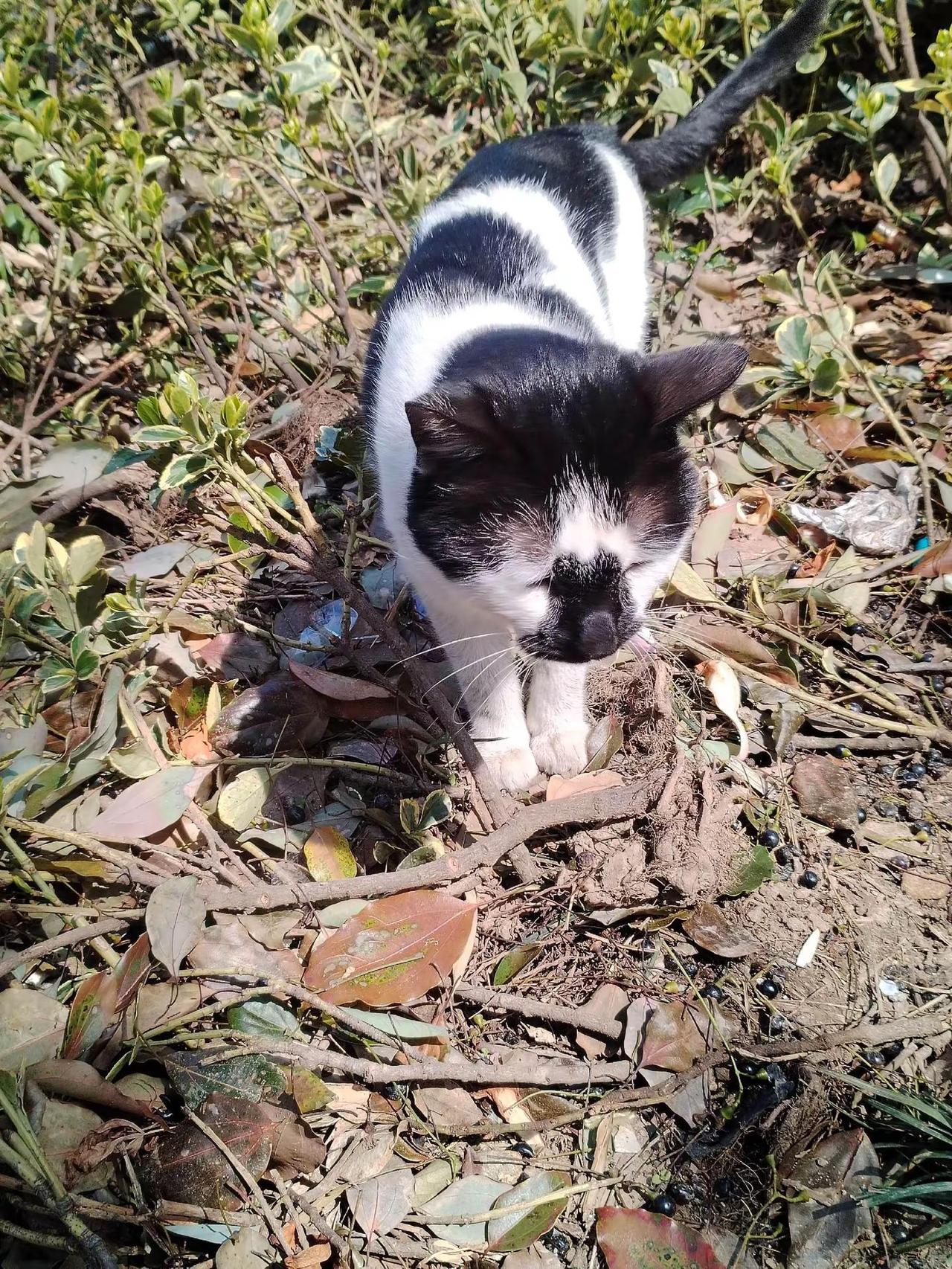 color walk.city walk → color walk脚步慢下来，目