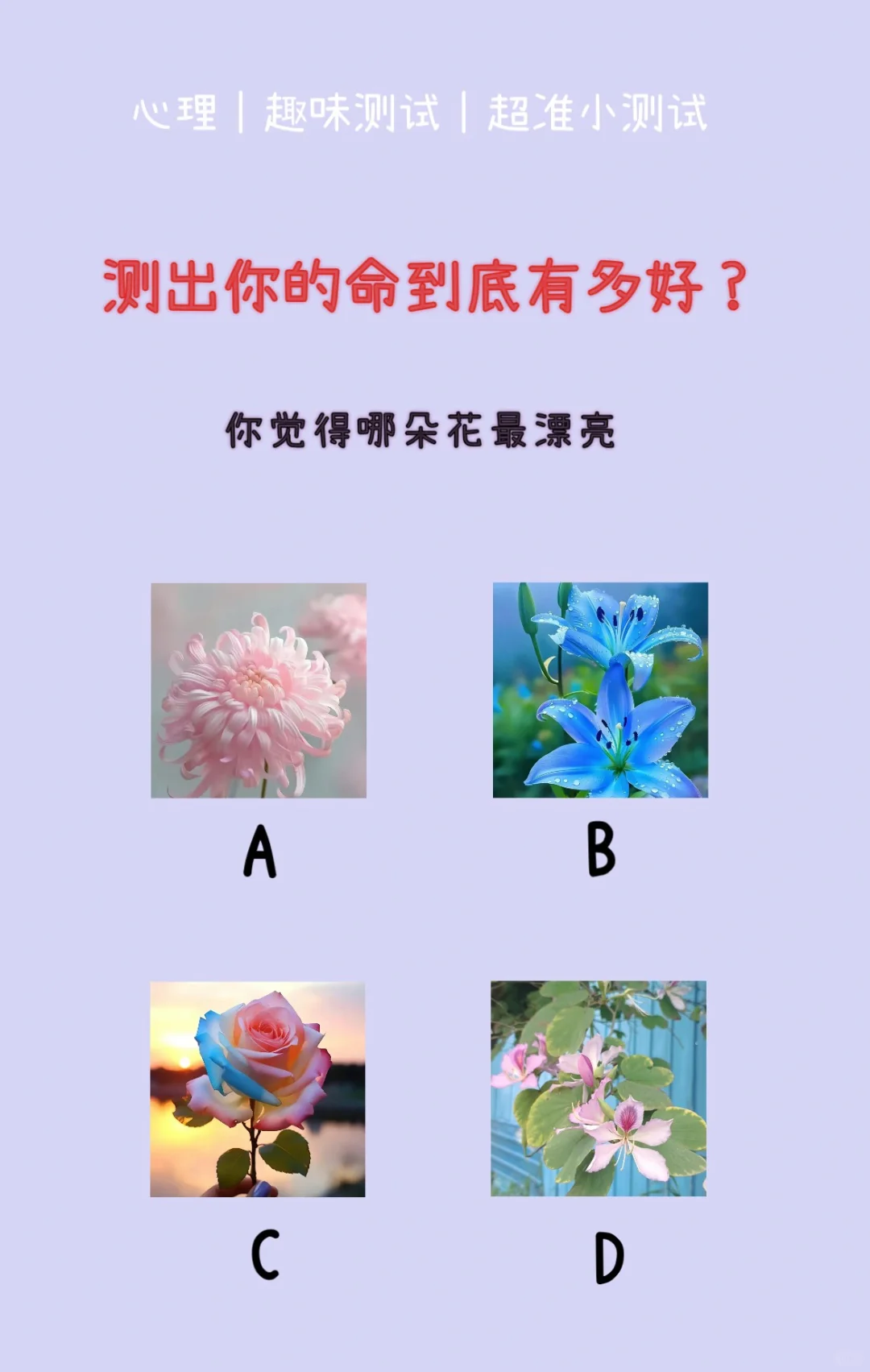 🔥测试｜测出你的命到底有多好？