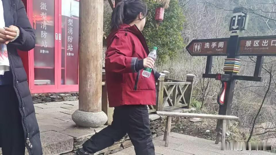 在海拔3106米的神农顶，云海漫过冰晶覆盖的瞭望塔，金丝猴在雪枝嬉戏，远古传说与