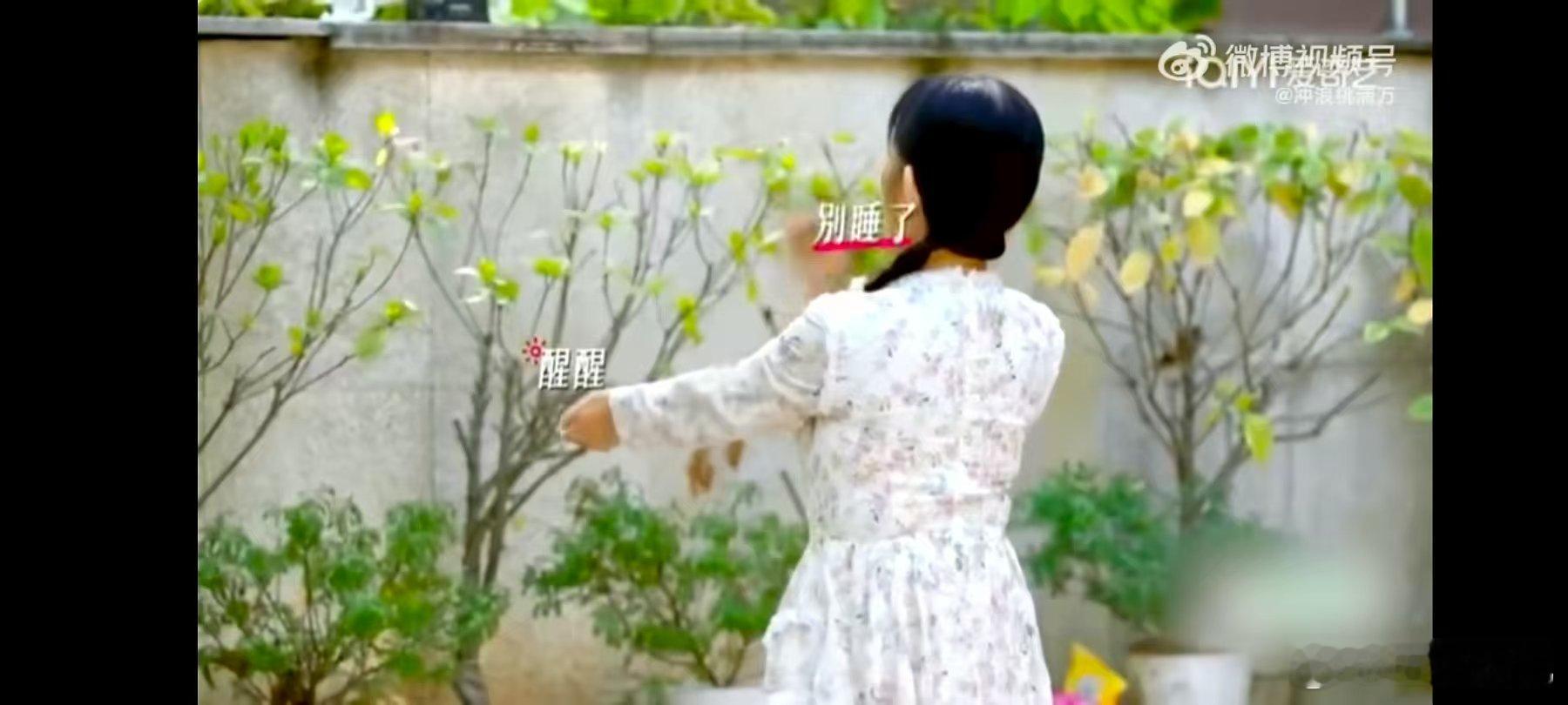 谢娜[超话]谢娜一家早起都是一出戏 姐姐当家哇塞！谢娜一家早起就是欢乐风暴！爸爸