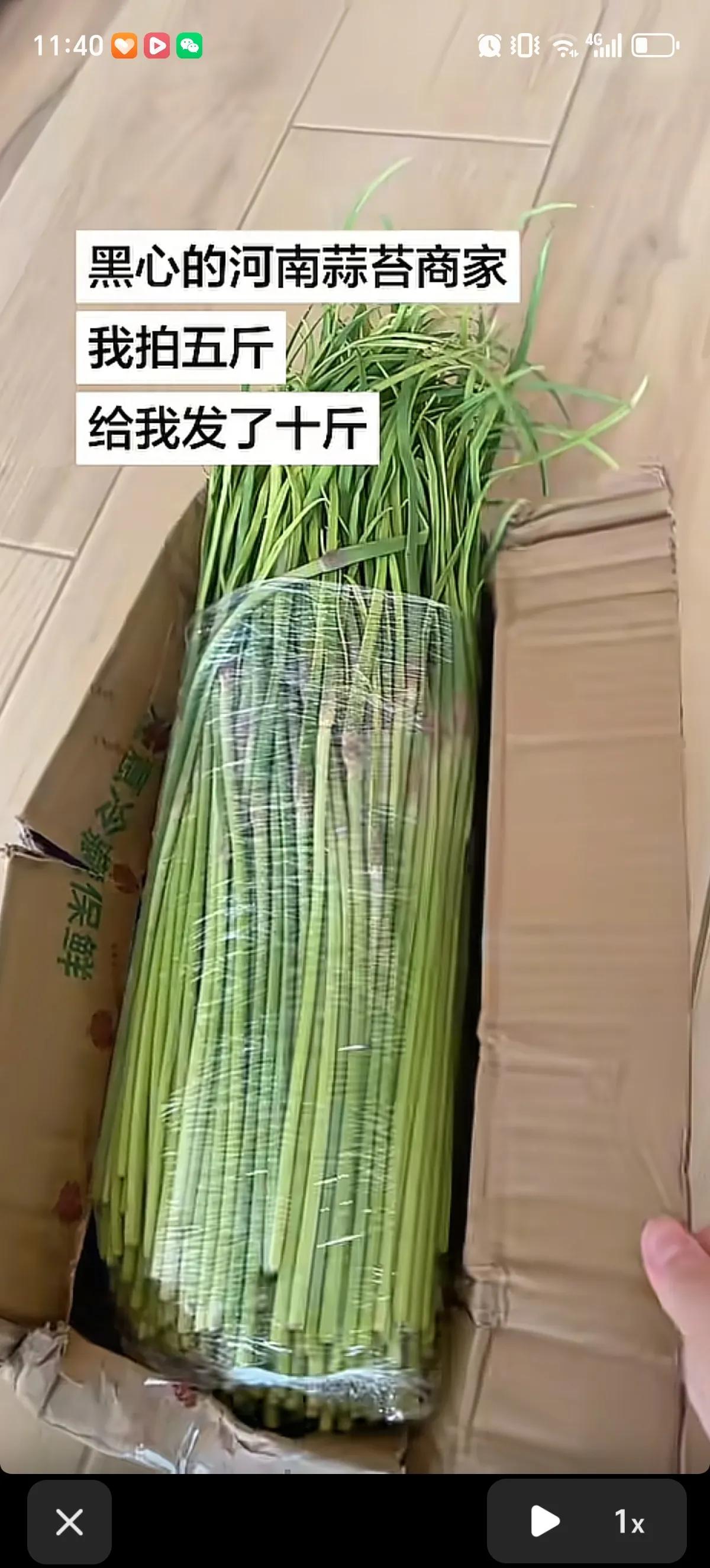 河南蒜薹今年大丰收却价格暴跌，地头价低至一两毛一斤，采摘人工都收不回，大量蒜薹被