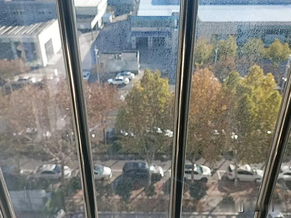 冬日生活打卡季