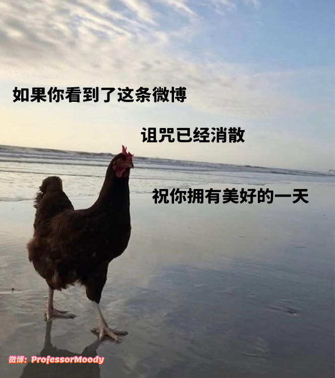 嘿！这是一条给你的消息！meme