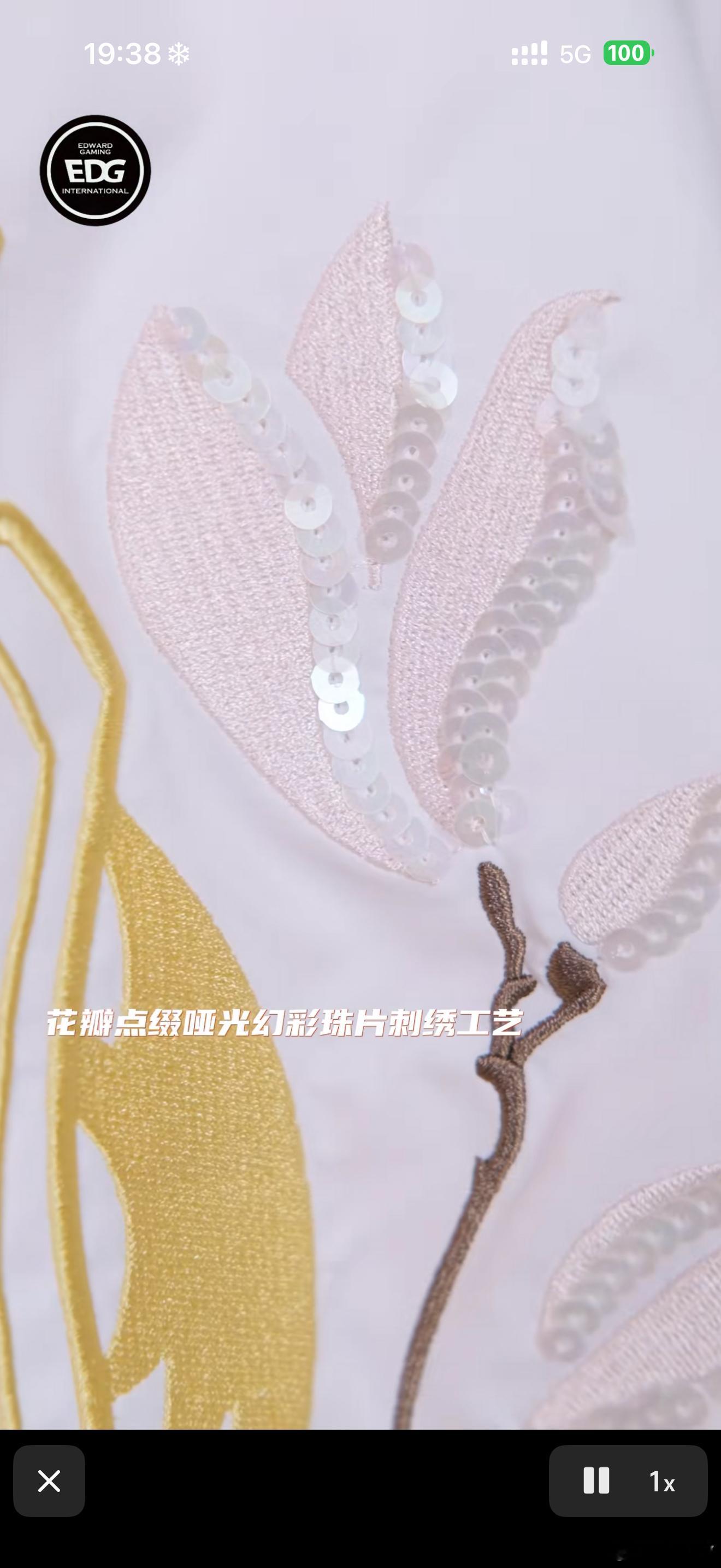 这个亮片是啥 ​​​