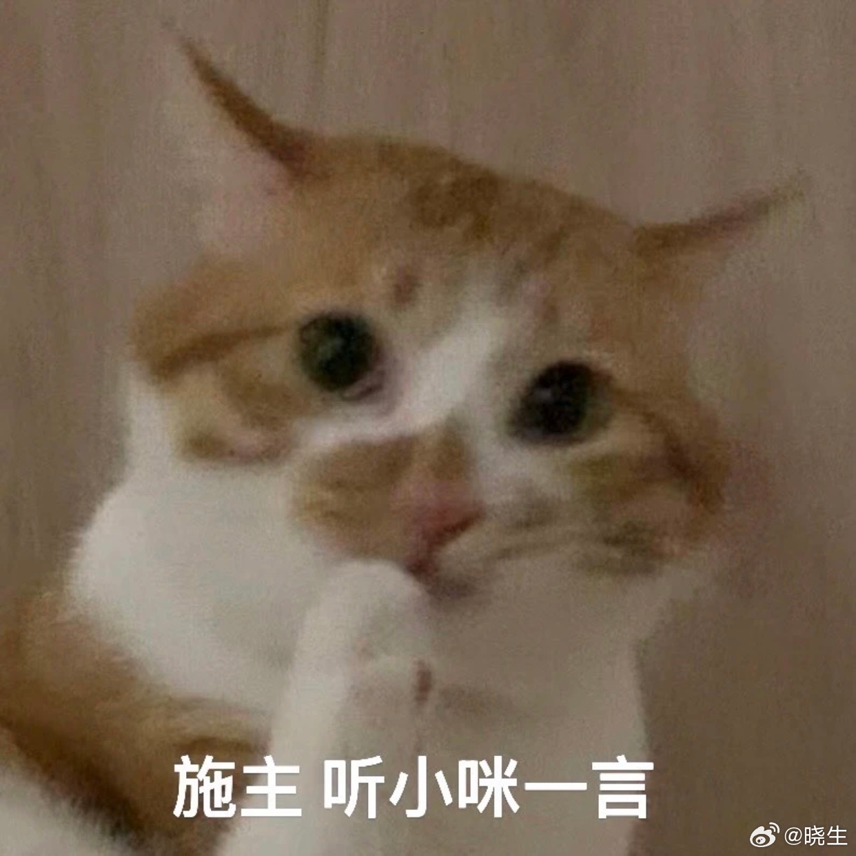 我做咨询这些年，直观感受说，很多人不是解决不了问题，而是接纳不了信息来咨询时都很