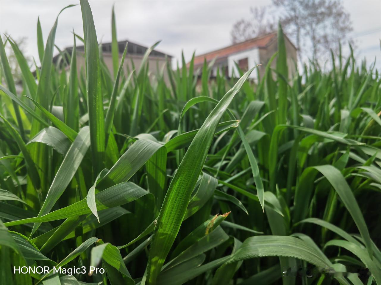 高考最后两个月回家自学：是高风险的“自救”，还是自毁式的逃避？
距离2026年高