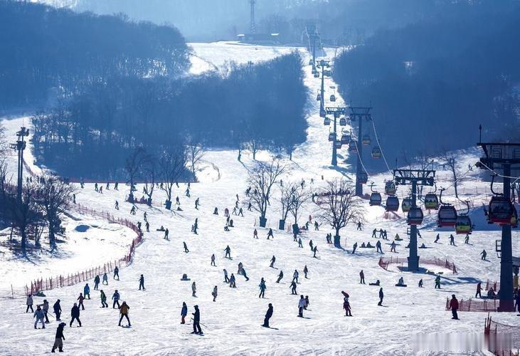 ☃️❄️⛄️到吉林必看 雾凇岛中国知名雾凇观赏胜地，玉树琼枝，宛如人间仙境。景色