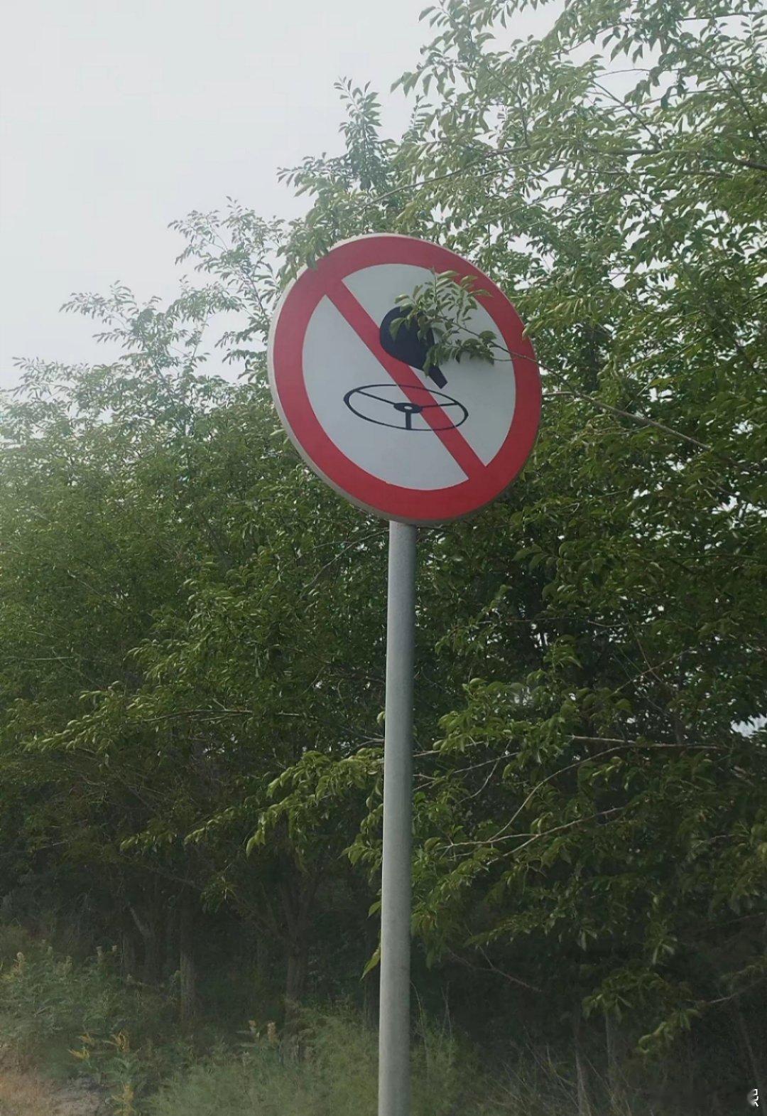 这个路牌标志是什么意思？ ​​​
