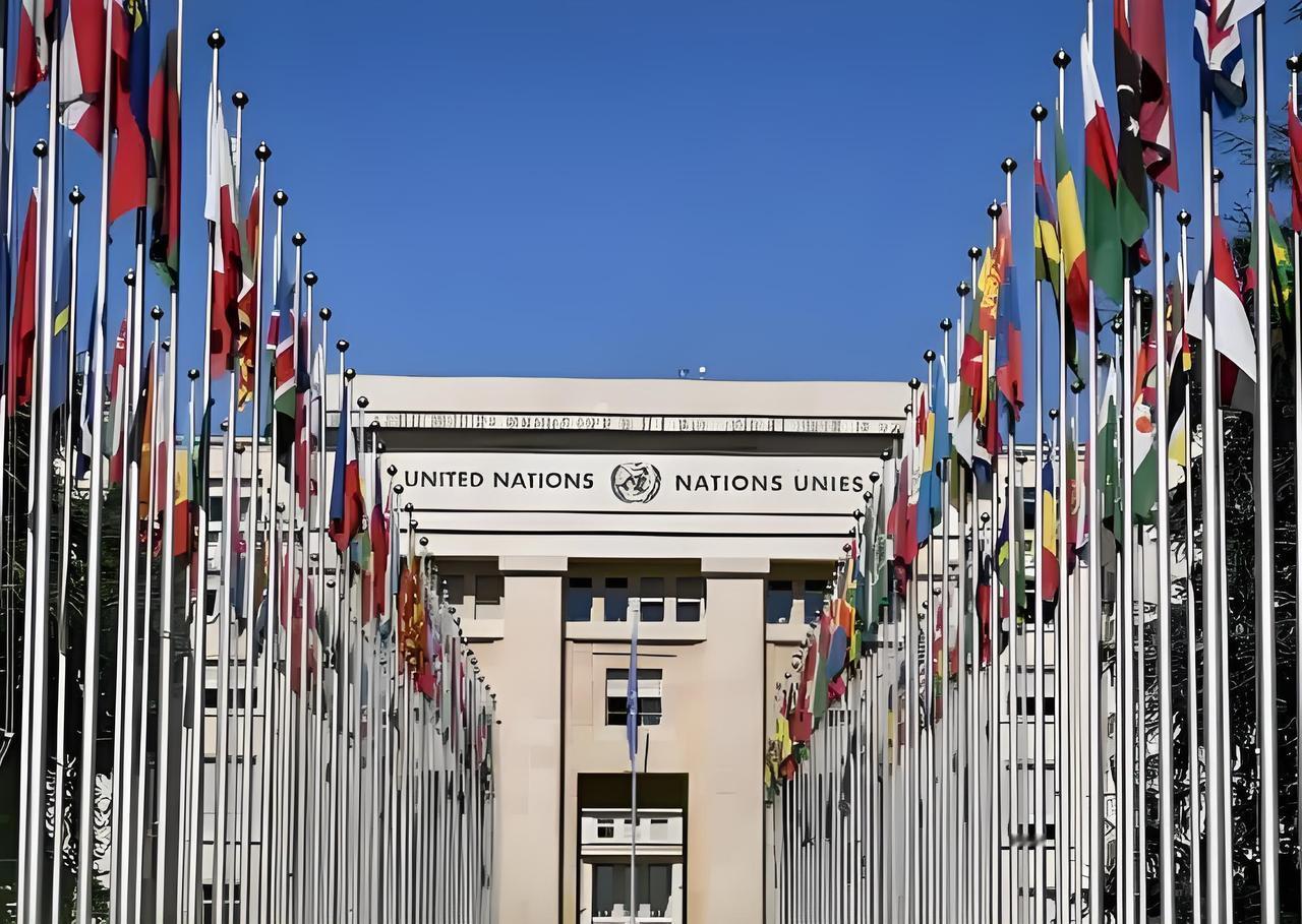 一张擦手纸引发的全球热议：联合国“无纸厕所”背后的环保与现实博弈
 
一则来自联