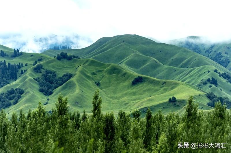 新疆的草原，简直是人间仙境！很多人知道那拉提，其实除它之外，还有好多绝美草原。