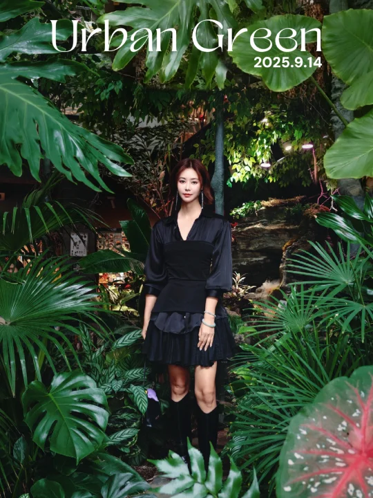 太美了吧！打卡藏在胡同里的“雨林咖啡厅”
