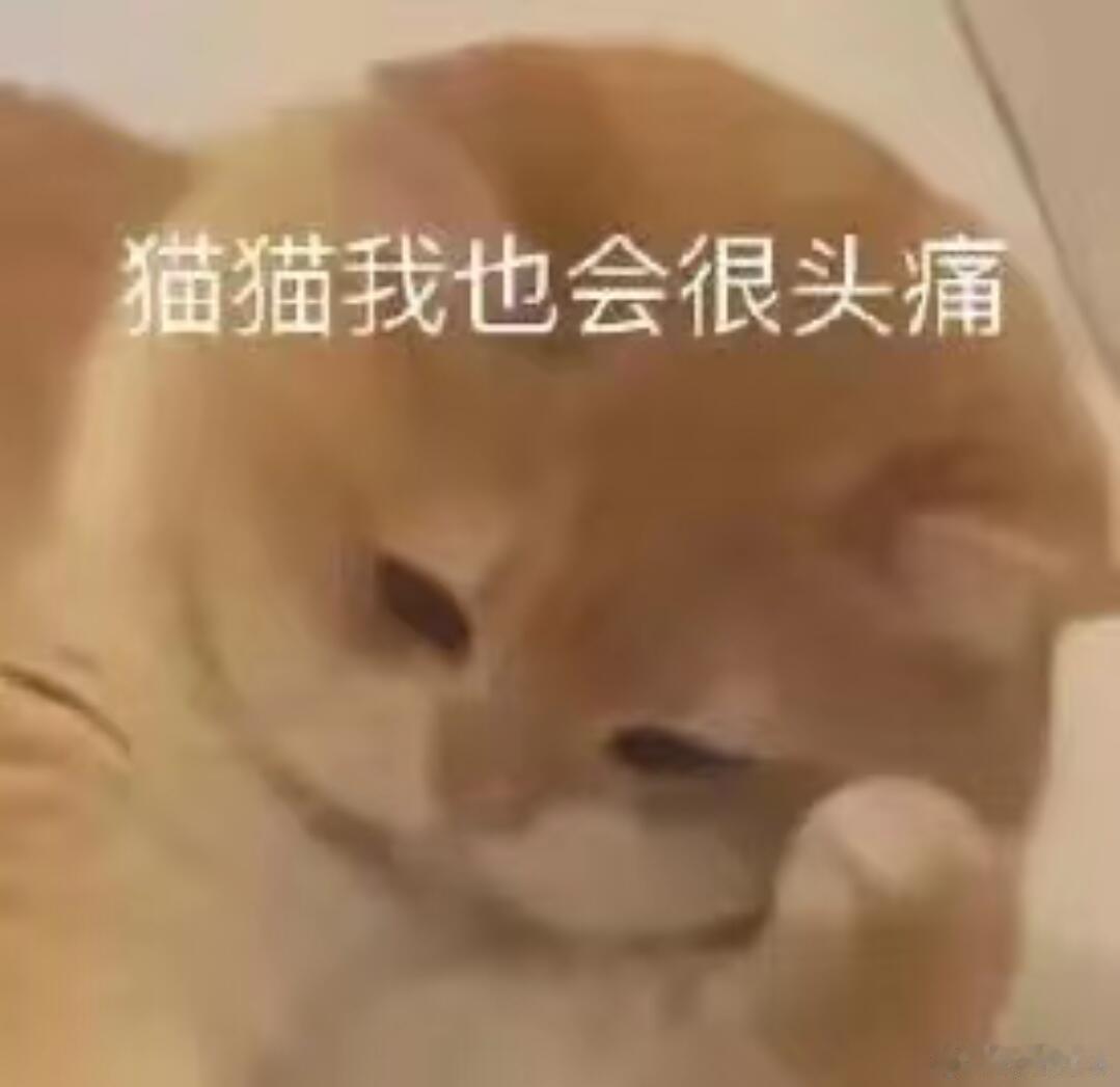 劝人说话前动脑子是真心的虽然我这人说话难听但是我只是爱说实话别说什么一人独大的笑