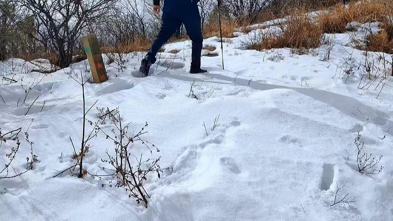 在海拔千余米的桐柏山，元旦那场雪仿佛凝固了时间。厚雪沉沉覆着山野，踏上山路，积雪