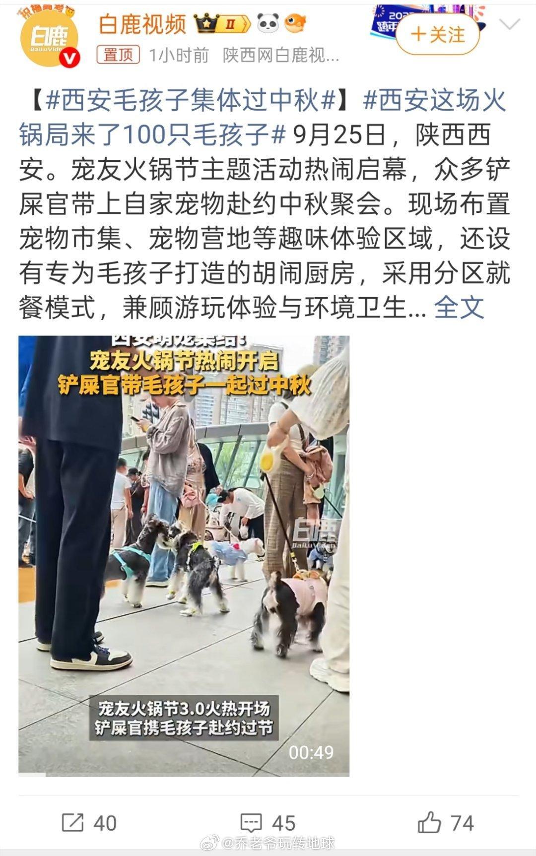 【西安毛孩子集体过中秋】从做产品的角度看，西安这场宠物火锅局，火锅只是由头，真正