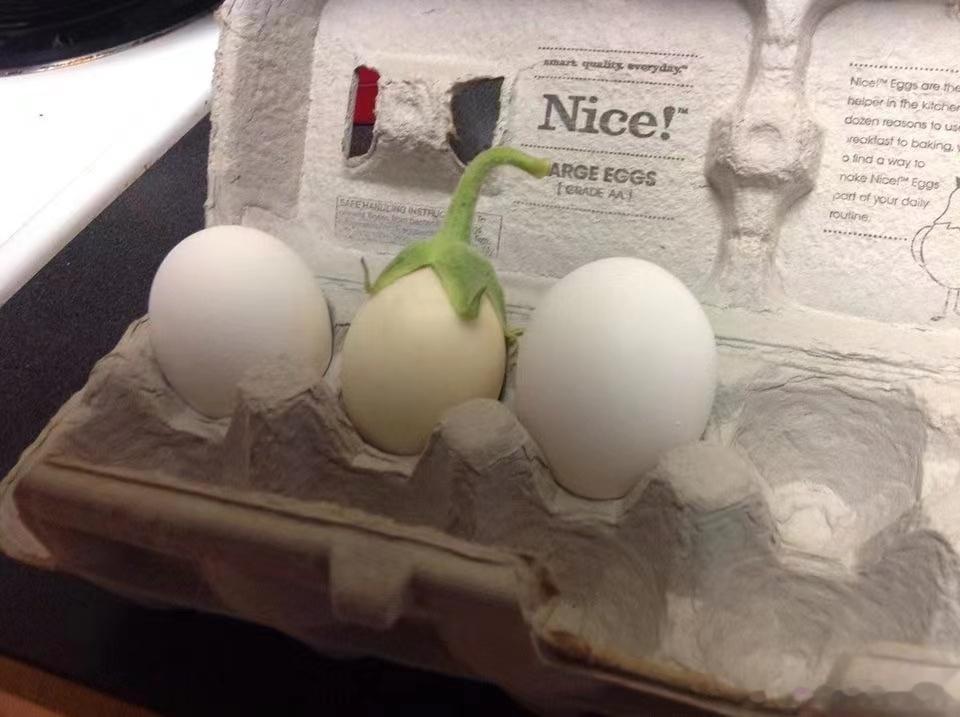 #今天##随手拍# 老实说，我也没想过茄子🍆的英文为什么叫eggplant🤔