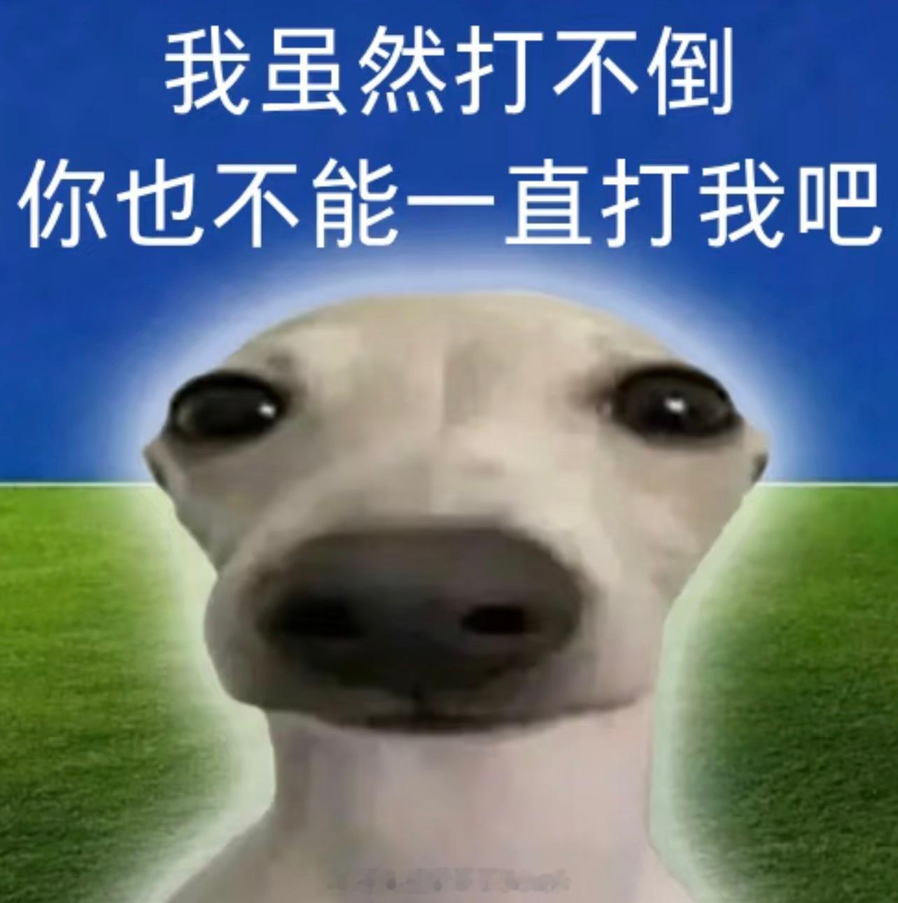 世界对我不公原来是因为我不是公的 
