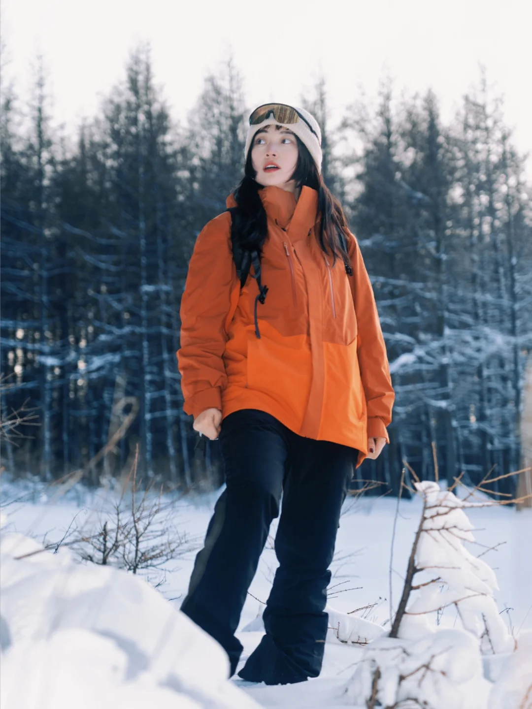 冬日秘境：踏雪寻幽冬日徒步探险记