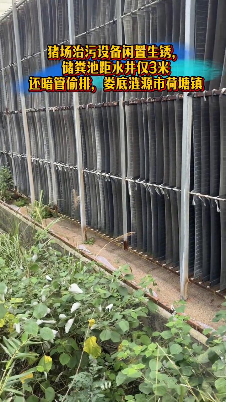 猪场治污设备闲置生锈，储粪池距水井仅3米，还暗管偷排。
接粉丝现报，位于娄底涟源