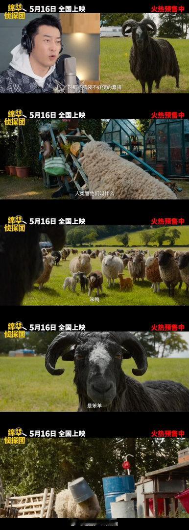 绵羊侦探团中文配音阵容双厨狂喜重磅联动，马思纯白客再度合作，声演搭档绵羊小队，一