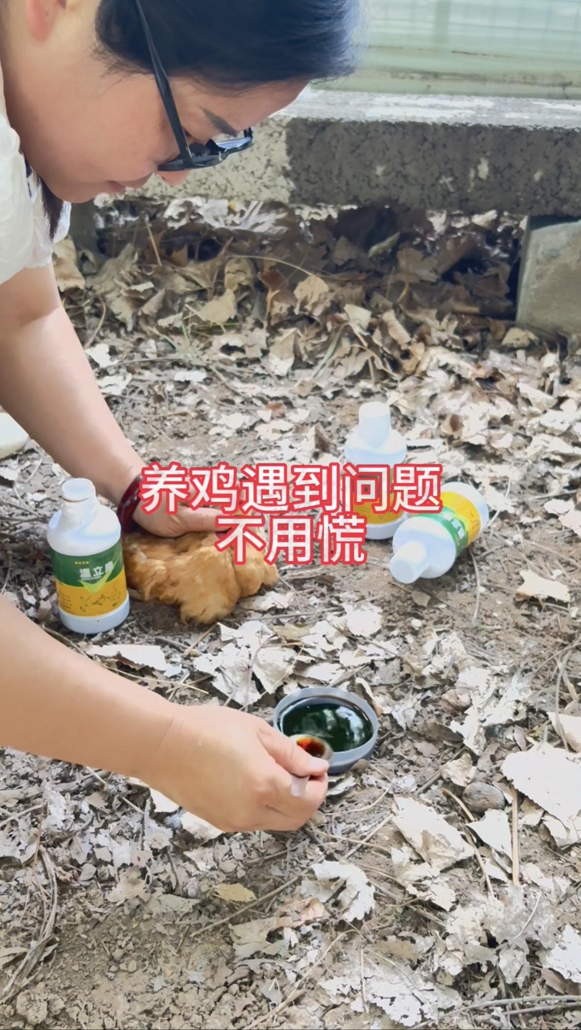 有了温立康，养鸡全年都健康