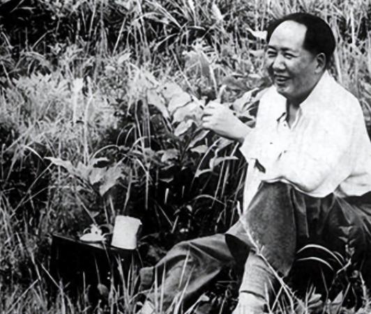 1927年毛泽东被捕后，押去处死路上，突然对一名团丁说：“老哥，我腿疼，伤筋了！