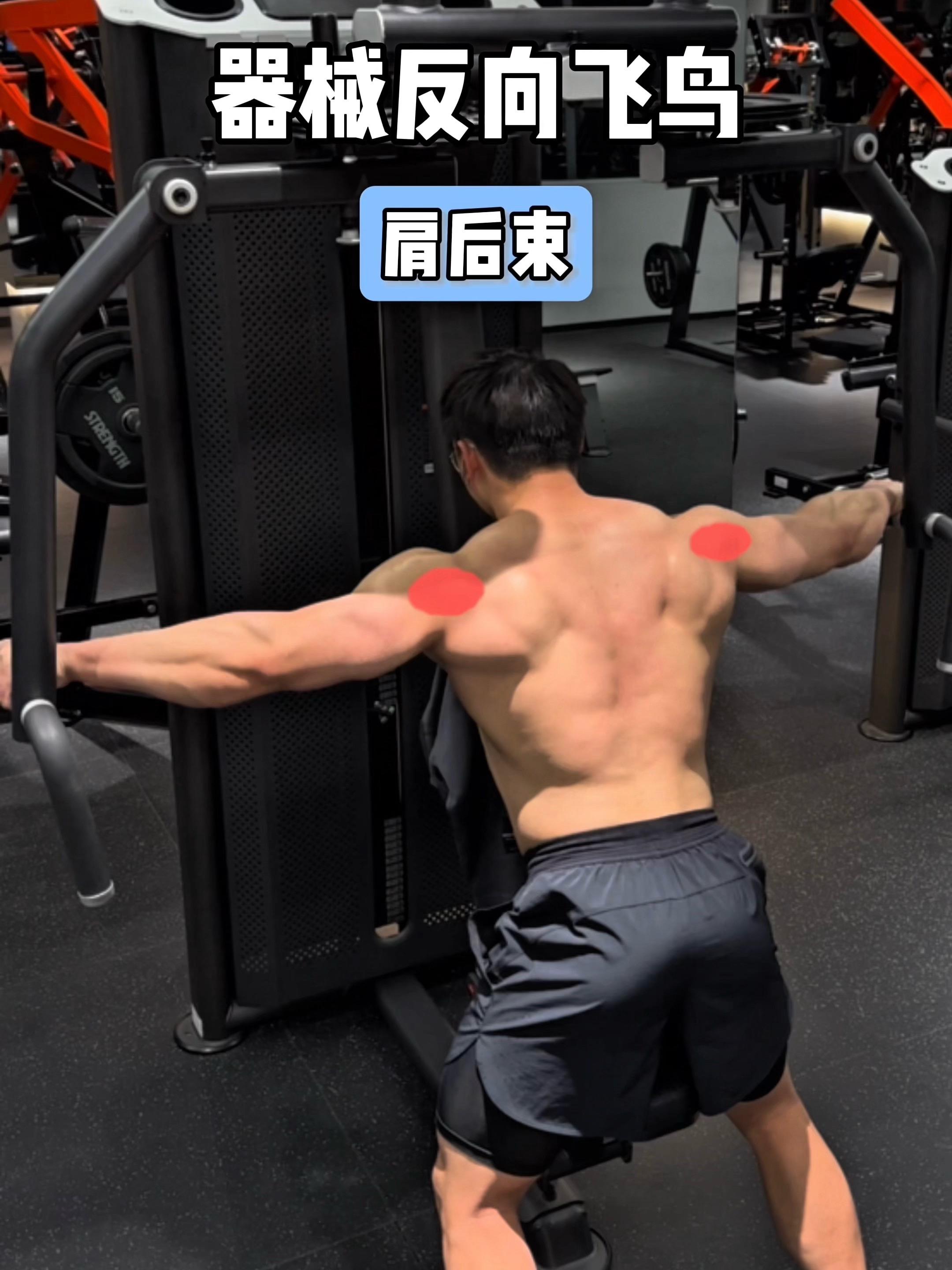 器械反向飞鸟，保姆级教程！ 一、目标肌群 器械反向飞鸟，肩后束 二、练...