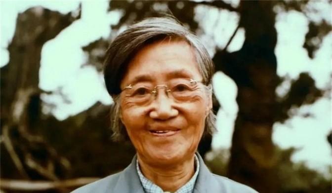 1960年，北大才女王承书狠心抛弃丈夫和孩子后不辞而别。17年后，当满头白发她出