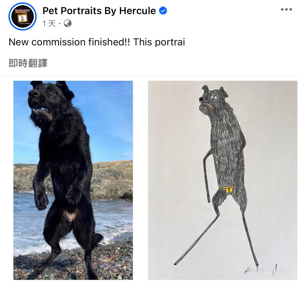 艺术家Phil Heckels，没有学过绘画，如今已给4000只宠物画过肖像画。