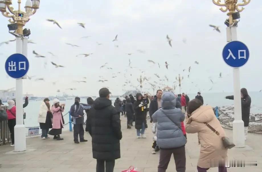 青岛人裹严实点！雨雪+大风+强降温……强冷空气马上到
31日夜间到1日白天：阴有