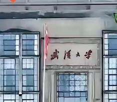 资格归位，青春难返
 
当“资格回来了，人却回不来”这句话出现在武汉大学超话，十