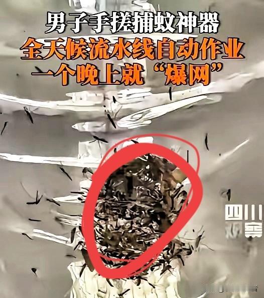 “人怎么能这么聪明！”福建漳州，一男子被蚊子叮得不胜其烦，买了蚊香、电蚊拍都不管