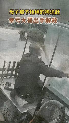 这只边牧不是要要咬孩子，而是性格顽皮，想和小朋友在一起玩，但是小朋友非常害怕它，