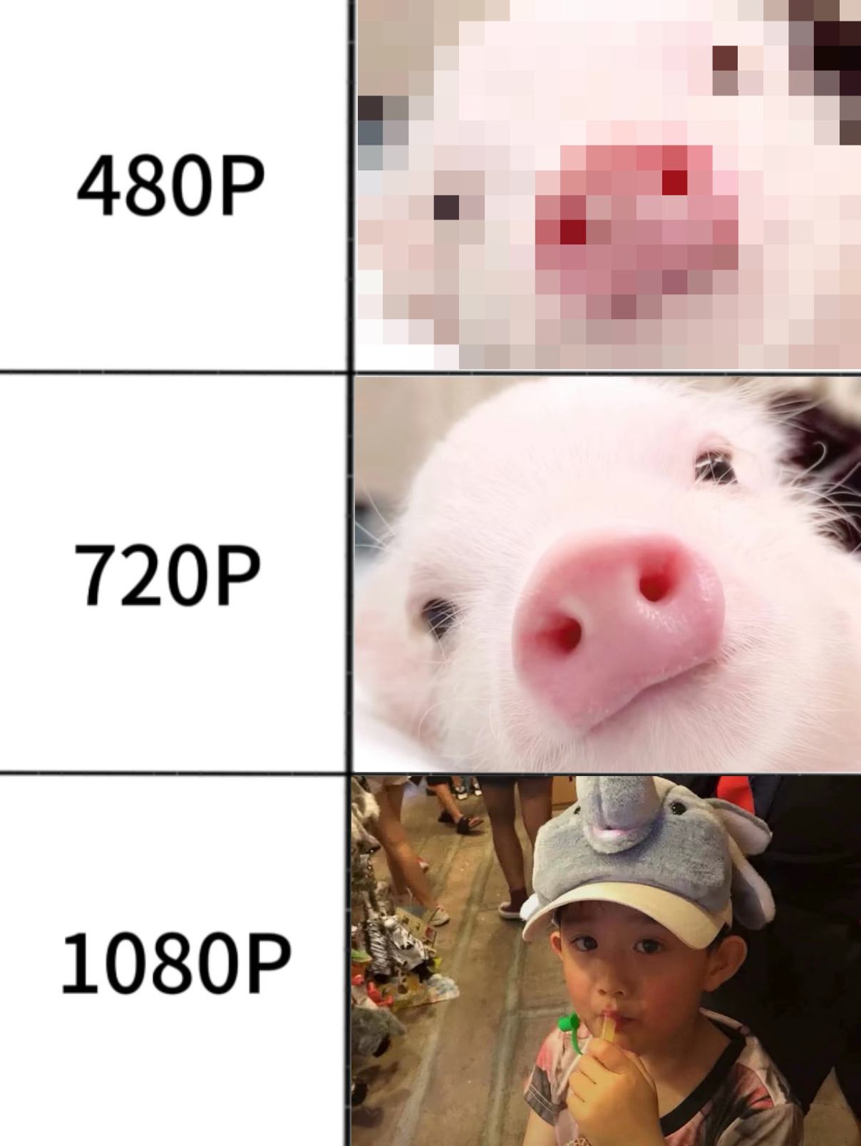 如何区分宝宝和小猪？通常情况下人们很难区分宝宝和小猪，因为他们都具有柔软的脸颊和