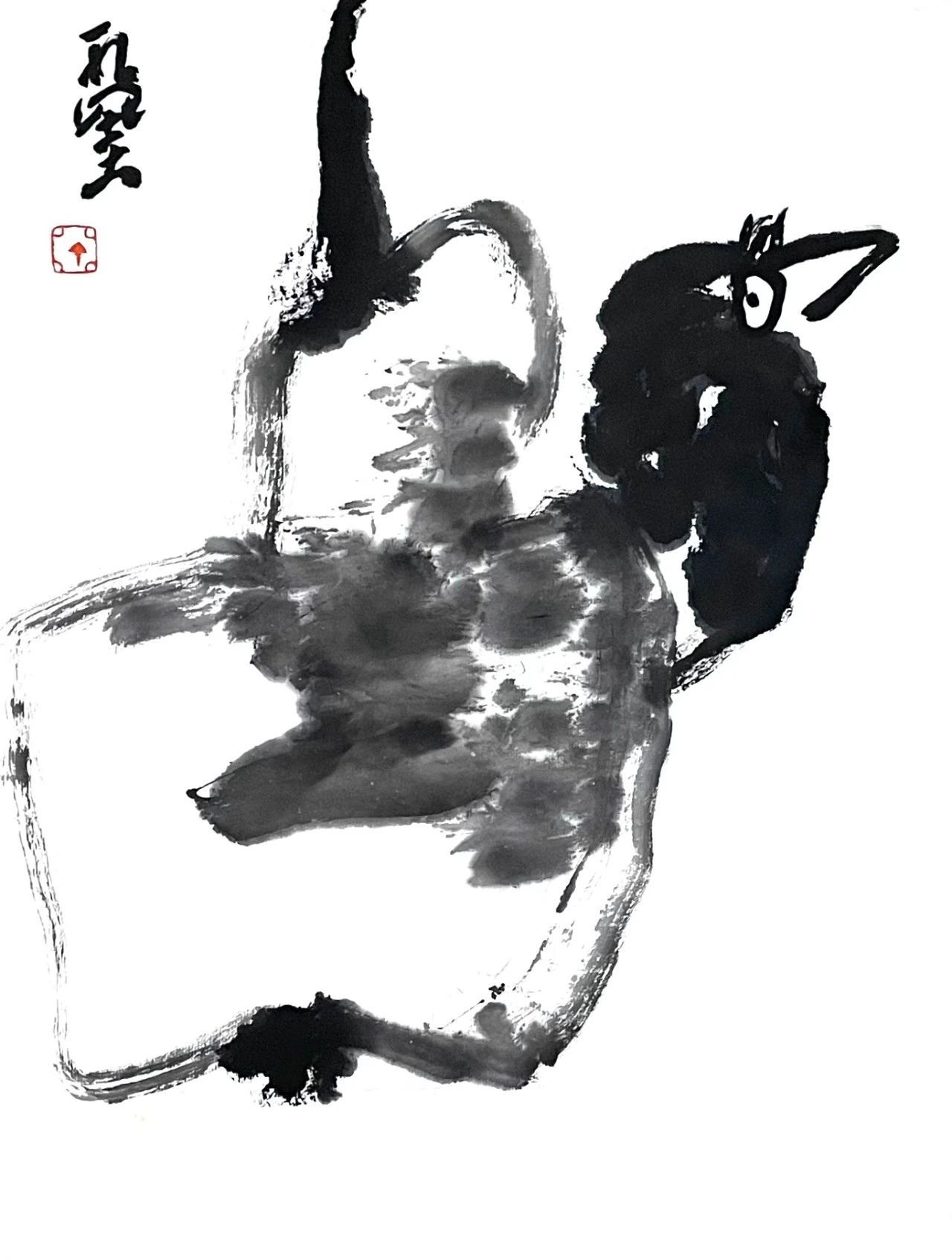 【乐观】丁常辉 ​​​