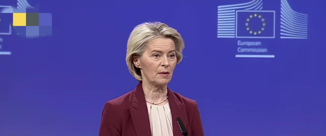 ​欧盟主席冯德莱恩要拿出俄罗斯被冻结资产900亿元左右，为乌克兰的信用担保。这时