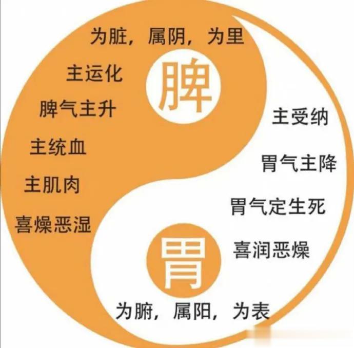 中医教你看舌苔，分辨4种脾虚　　现在很多人都有脾虚的情况，今天董大夫就教大家从舌