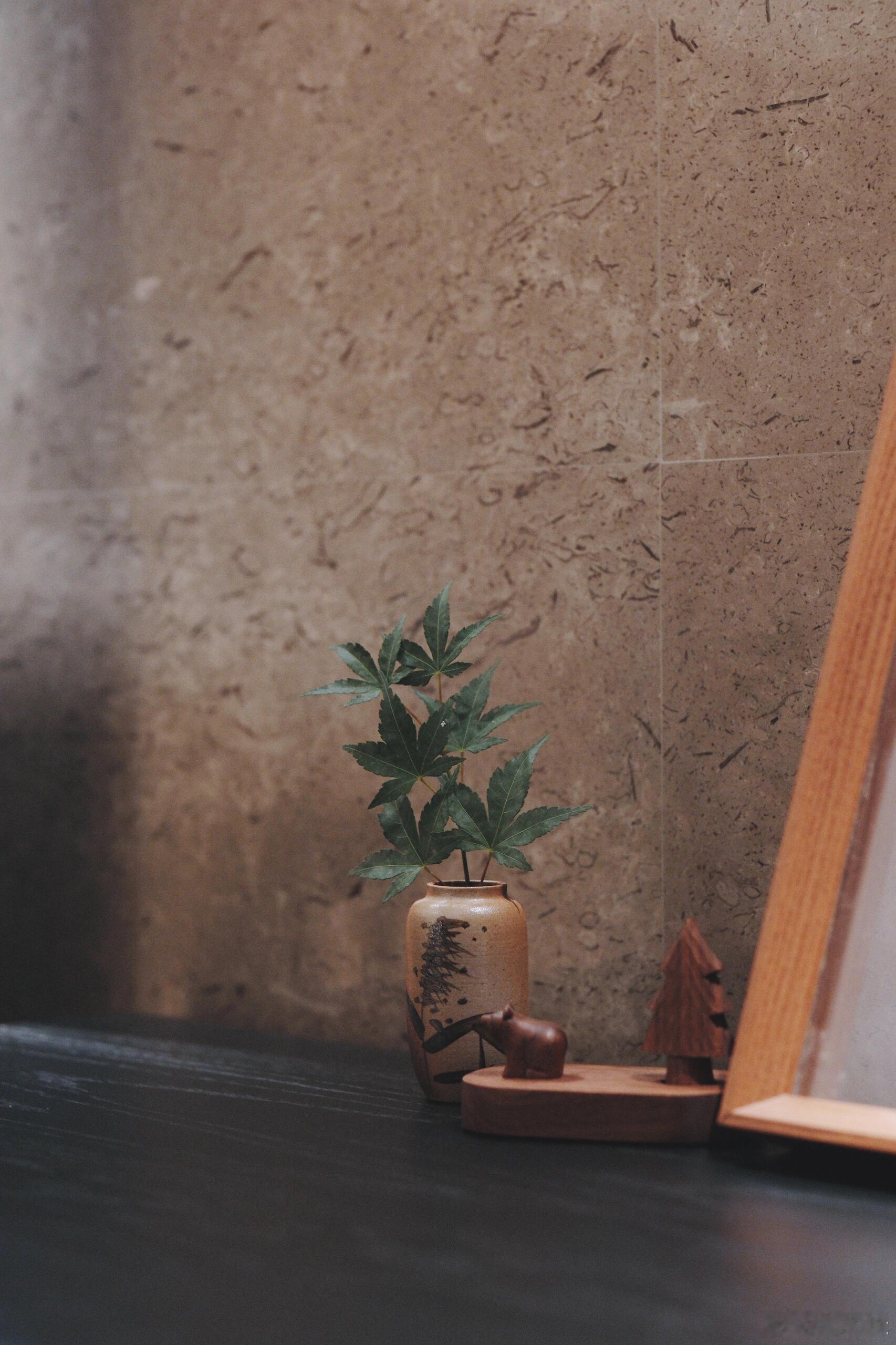 人嘛，谁不爱面子，谁不怕出丑。登台讲话怕舌头打结，发表意见怕被人笑话，做点新鲜事