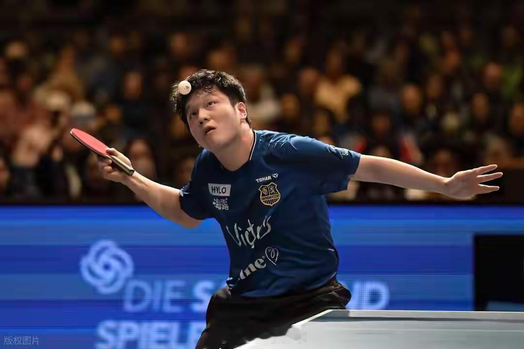 2025年加盟德甲萨尔布吕肯后，樊振东以“凯撒”之姿颠覆乒坛，获萨尔电视台盛赞，