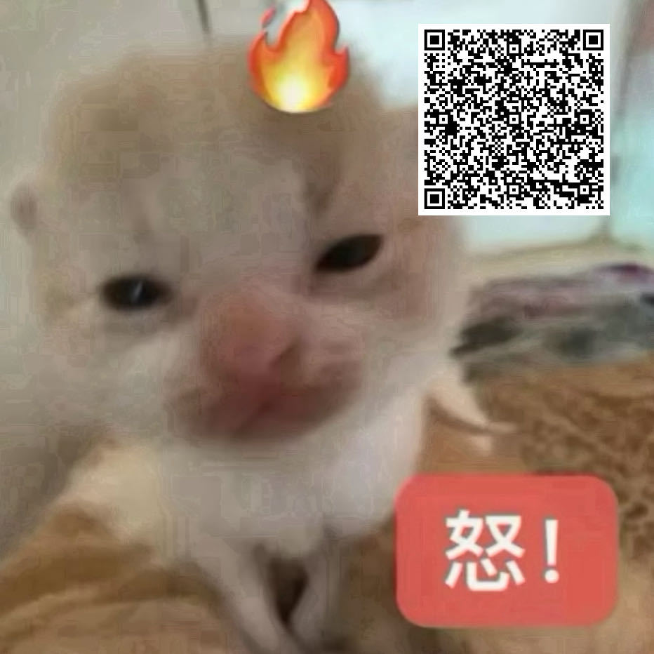 除了第一个都zybl 