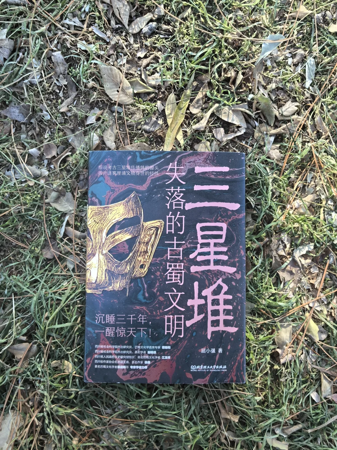 三星堆：失落的古蜀文明，探寻沉睡的古蜀