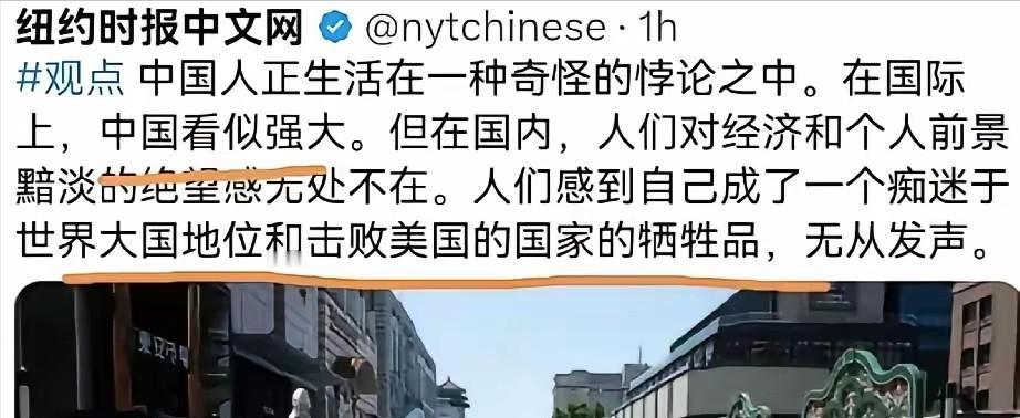 纽约时报称，“中国人生活在一种奇怪的悖论中，在国际上中国看似强大， 但在国内，人