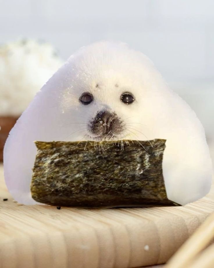 吃口🍙 