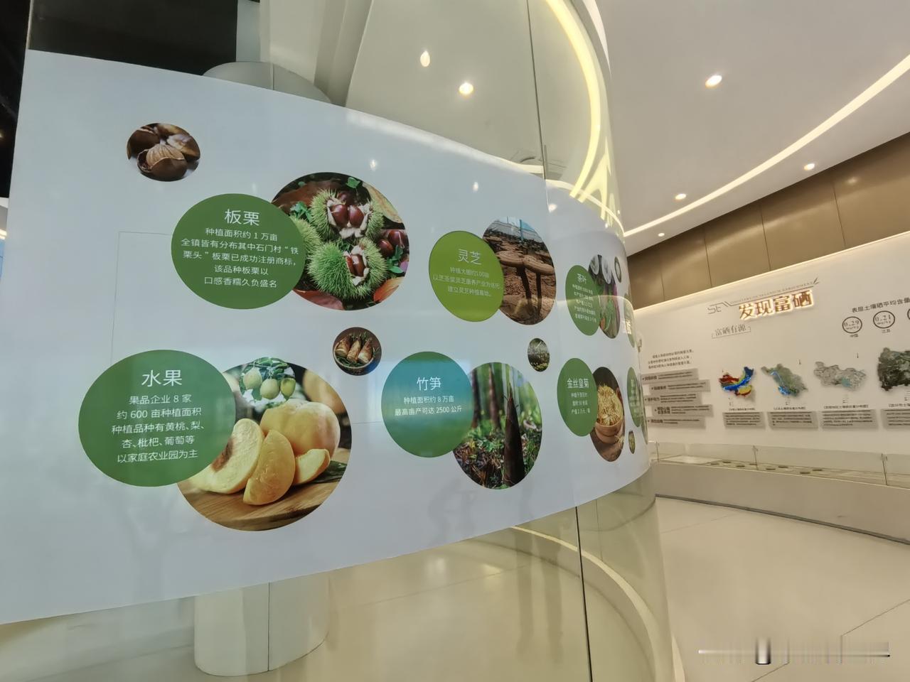 今天八点多，我们来到了宜兴太华的灵芝孢子粉公司，参观了灵芝生产基地，聆听了一场非