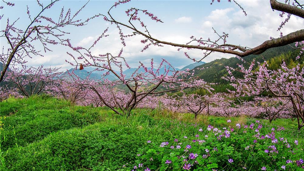 读《近思录》之3.52　

《大畜》初二，乾体刚健而不足以进，四五阴柔而能止。时