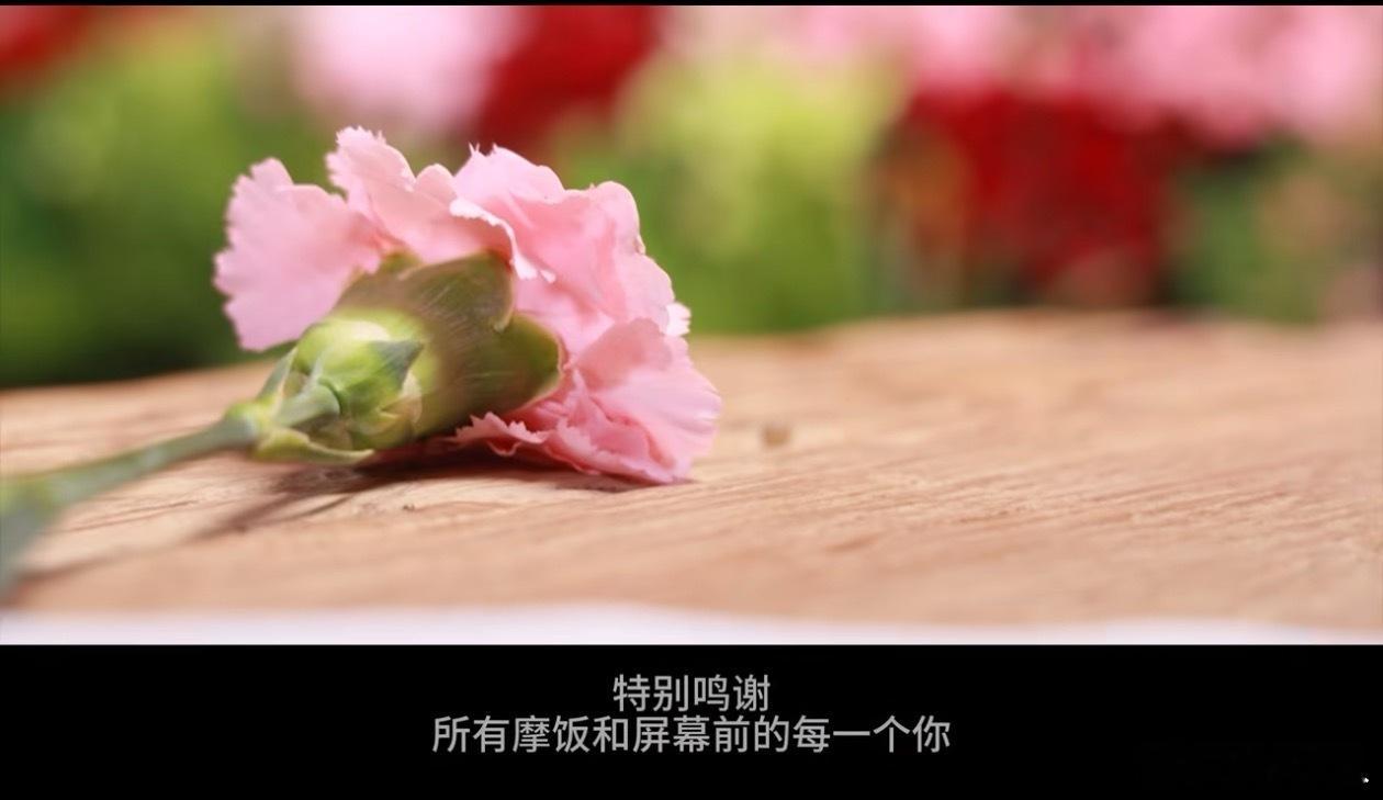 刘宇宁刀工太专业了刘宇宁的前半生每个工作都没白干摩登兄弟[超话] 爱你没有理由，