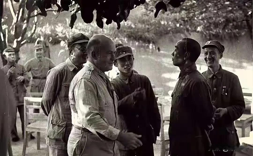 1944年，陕北。美军军事观察团到访延安。
观察团到了延安后，看到了与国统区截然