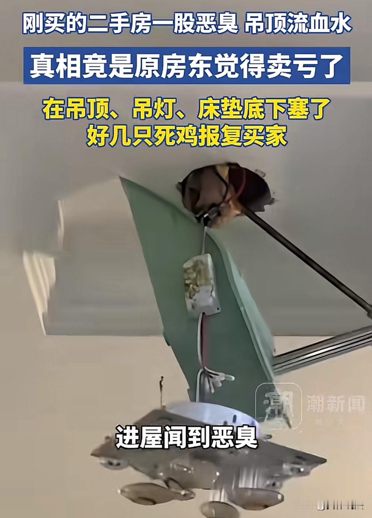 “离大谱！”安徽合肥，女子通过中介买了一套二手房，拿到钥匙收房时，一进屋就闻到一